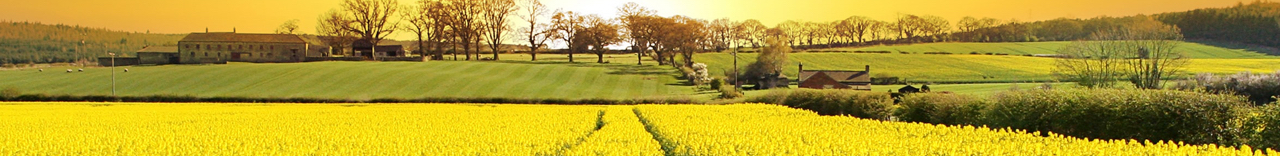 Agronomic Banner title Agronomic Banner alt