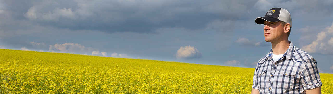 Banner alt