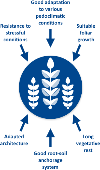 Flexible and sustainable crop managment