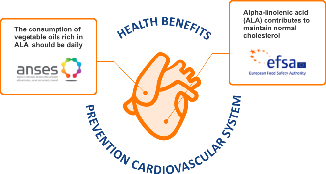 Health benefits chart Health benefits