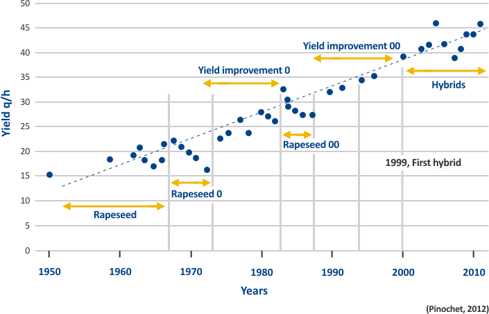 Genetic development of rapeseed Genetic development graph
